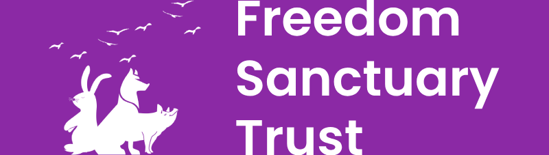 Freedom Sanctuary Logo